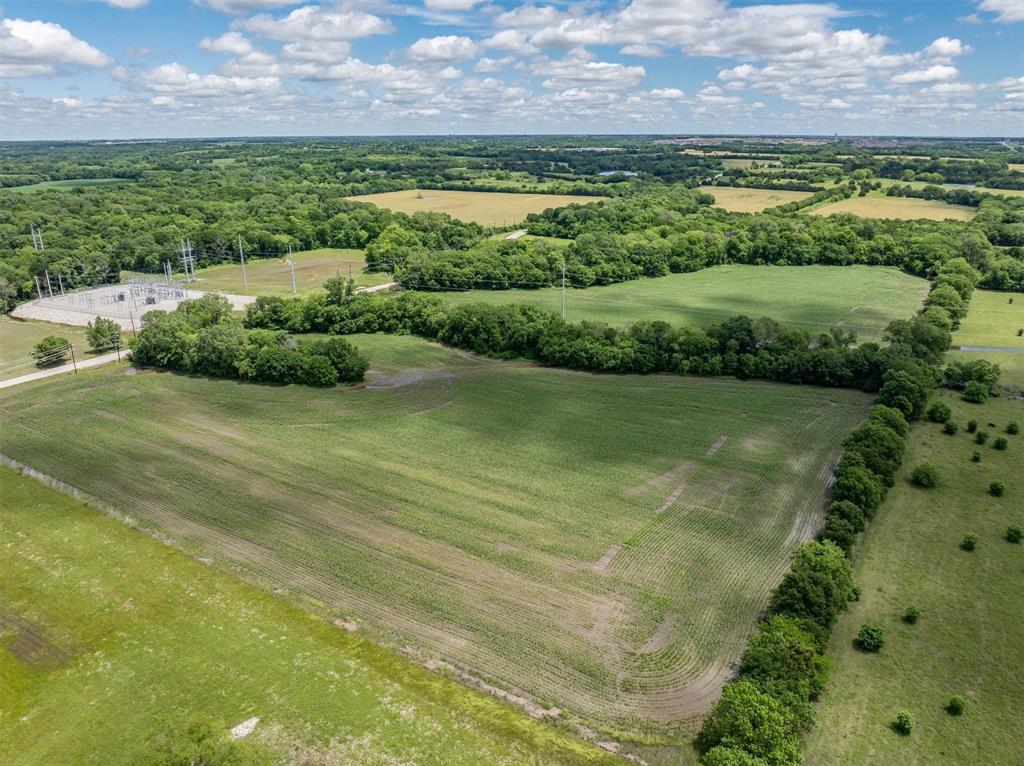 Tbd Cowan Road Celina, TX 75009 - Photo 6 of 31 a view of a big yard with plants and large tree