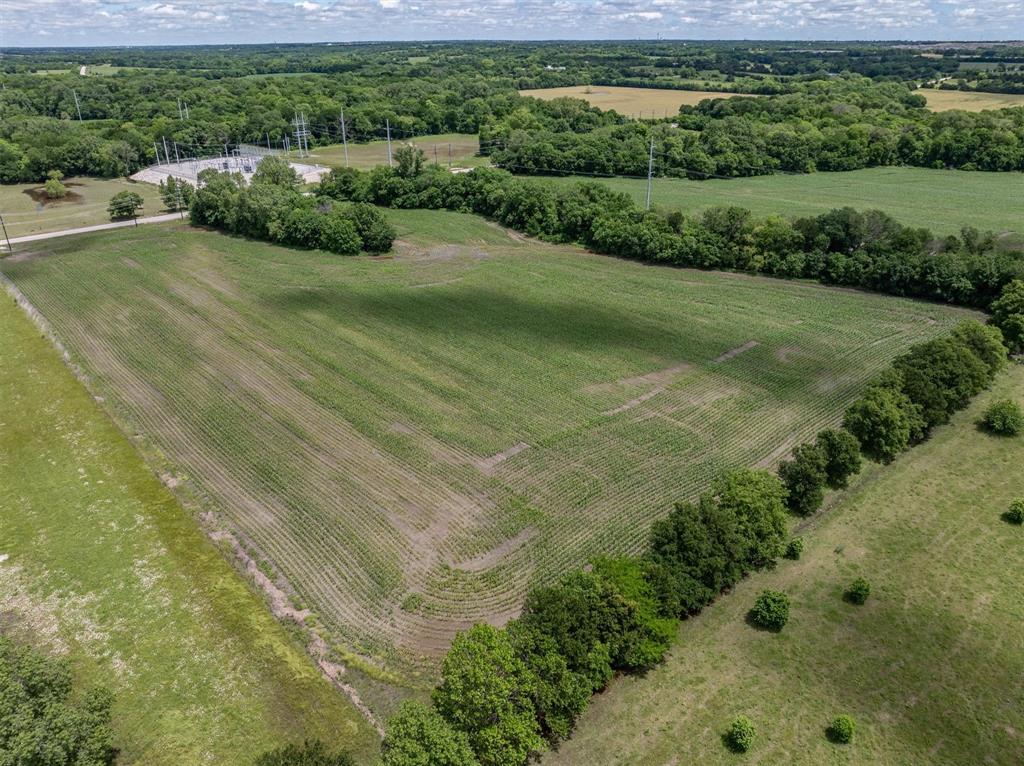 Tbd Cowan Road Celina, TX 75009 - Photo 10 of 31 a view of a big yard with large trees