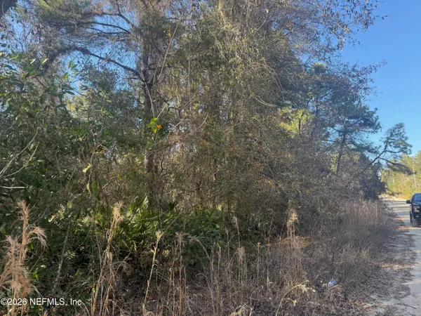 $25,000 | Zzz Nettles Road, Florahome, FL 32140