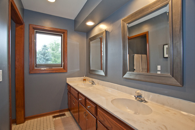 1936 Slippery Rock Road Naperville, IL 60565 - Photo 19 of 25 a bathroom with a sink and a mirror