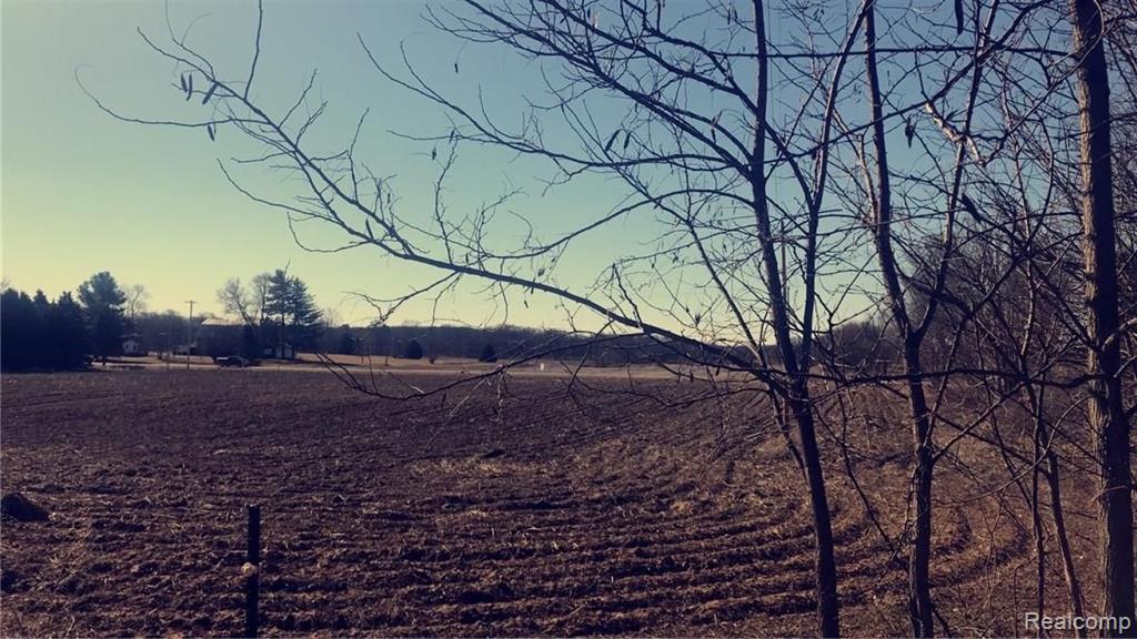 0 Arnold Gregory, MI 48137 - Photo 3 of 10