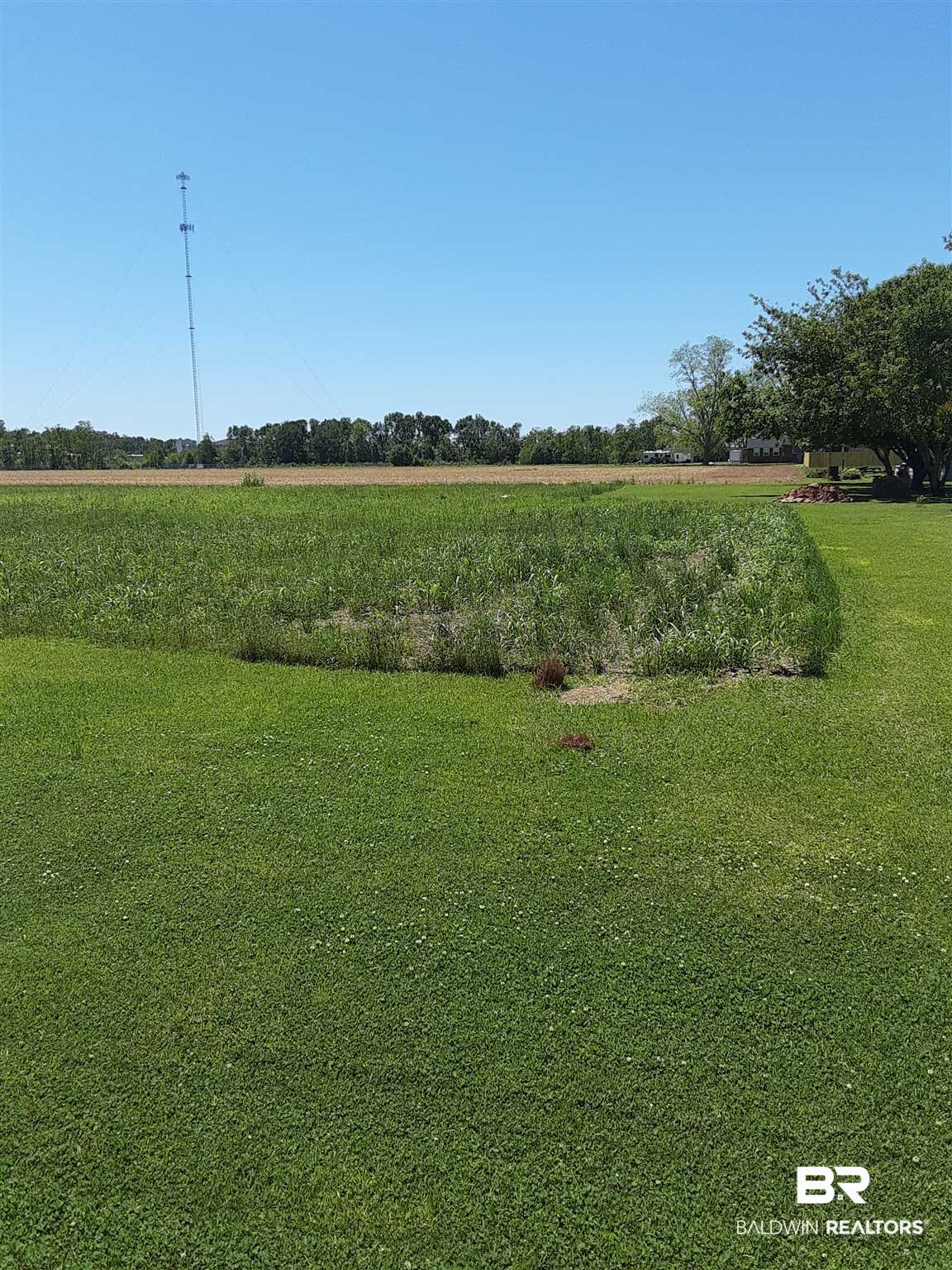 0 Black Devine Road Loxley, AL 36551 - Photo 6 of 26