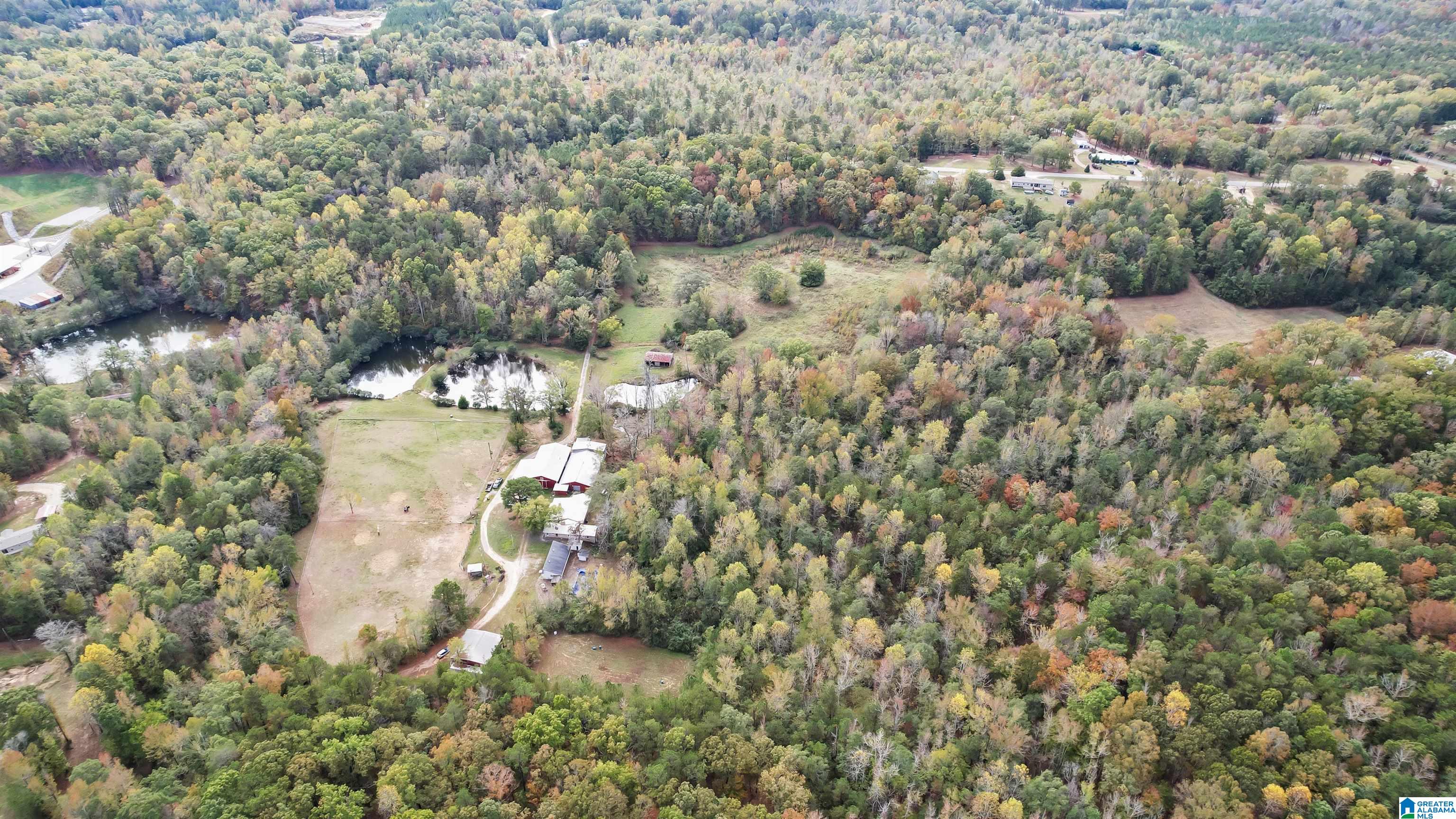 9406 County Road 51 Jemison, AL 35085 - Photo 56 of 58