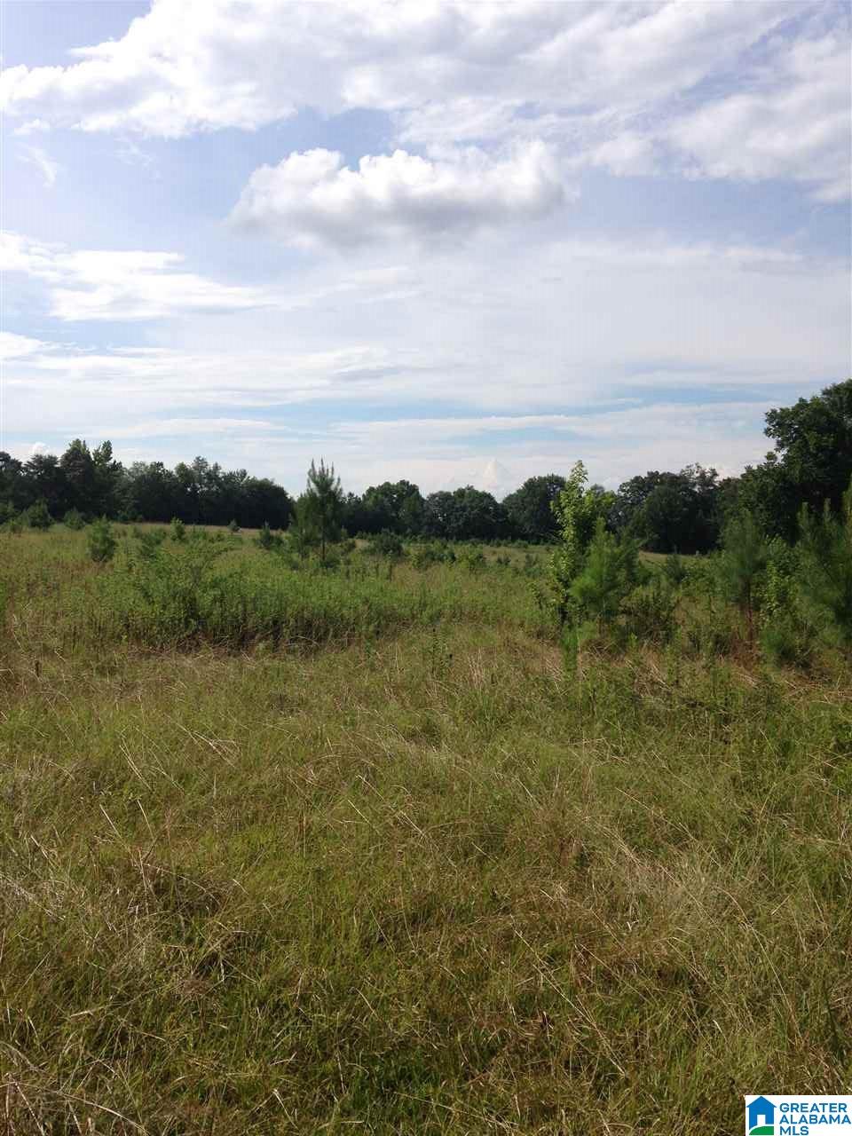 940 New Harmony Road, Unit 1 Clanton, AL 35045 - Photo 6 of 7