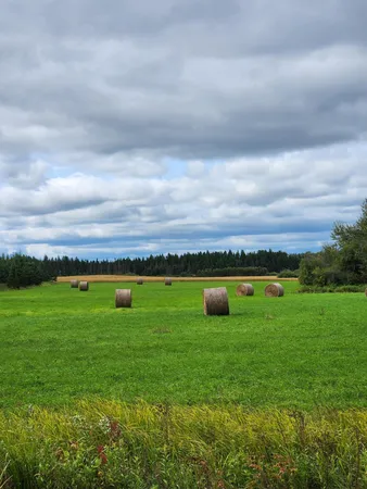 $319,900 | 9453 Alango Road, Angora, MN 55703