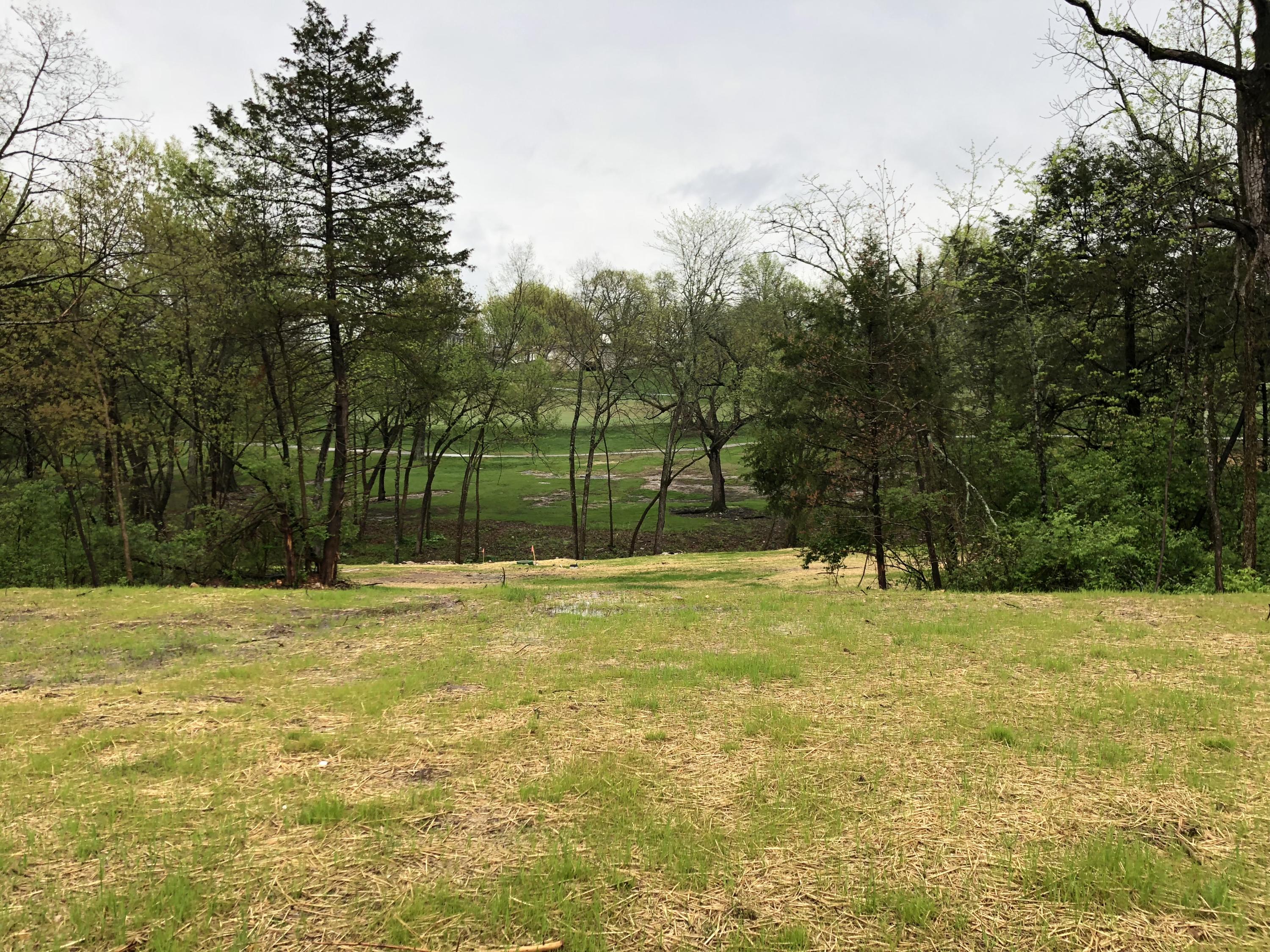 Lot 97 East Cypress Point Springfield, MO 65802 - Photo 3 of 7 IMG_1153