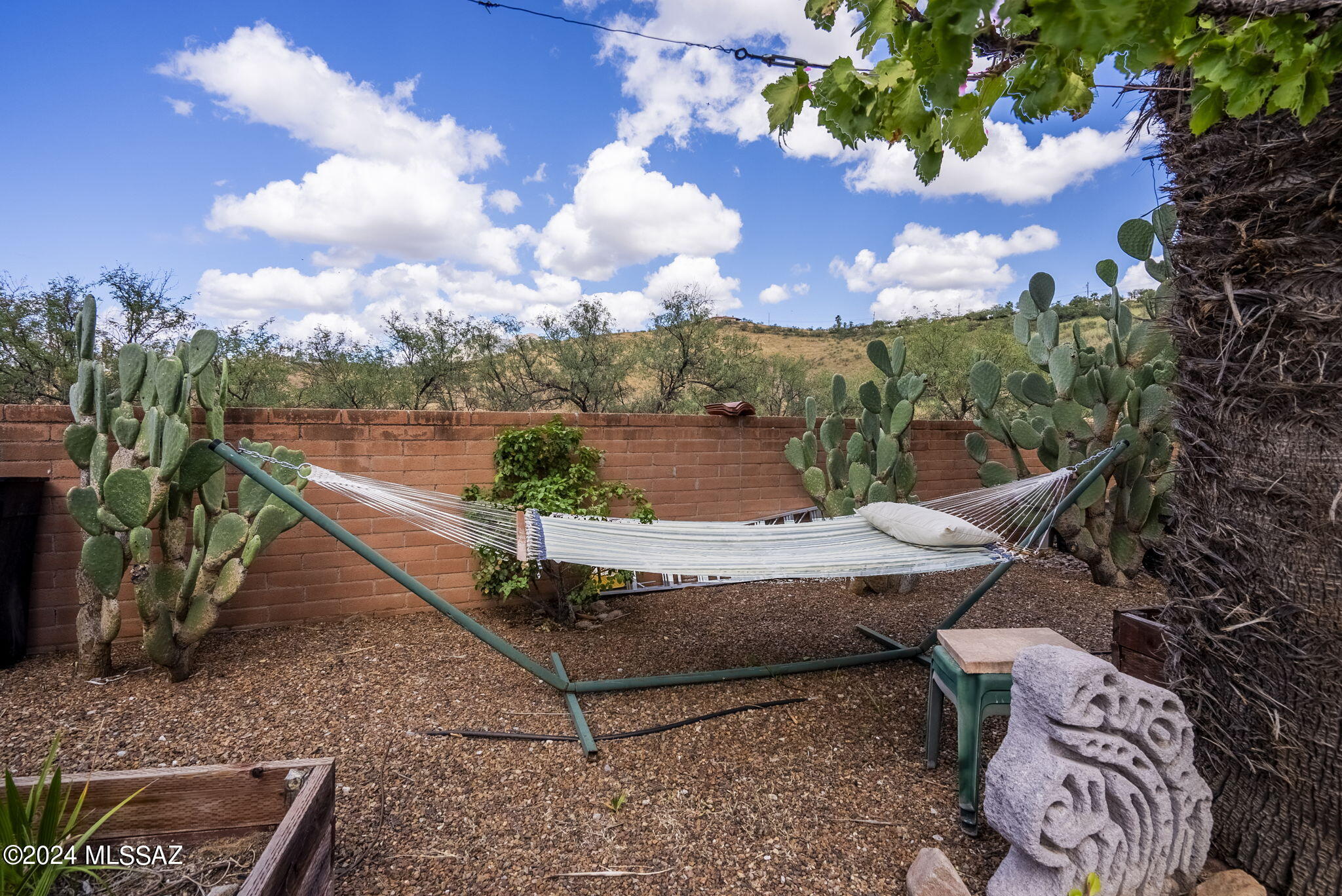 1245 Lago Court Rio Rico, AZ 85648 - Photo 34 of 44
