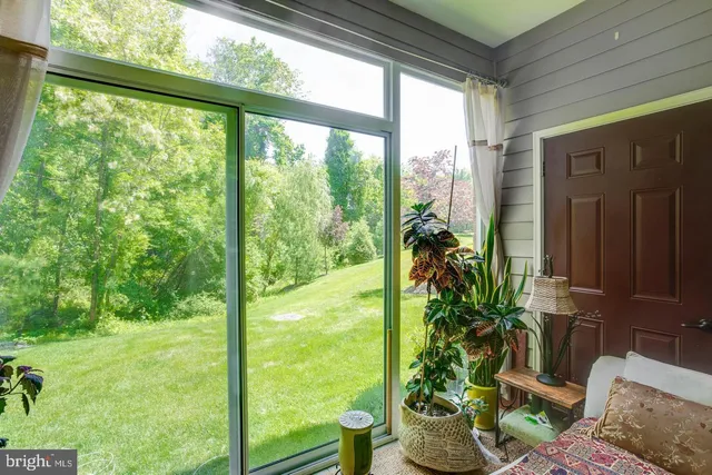 a room with garden view with a potted plant