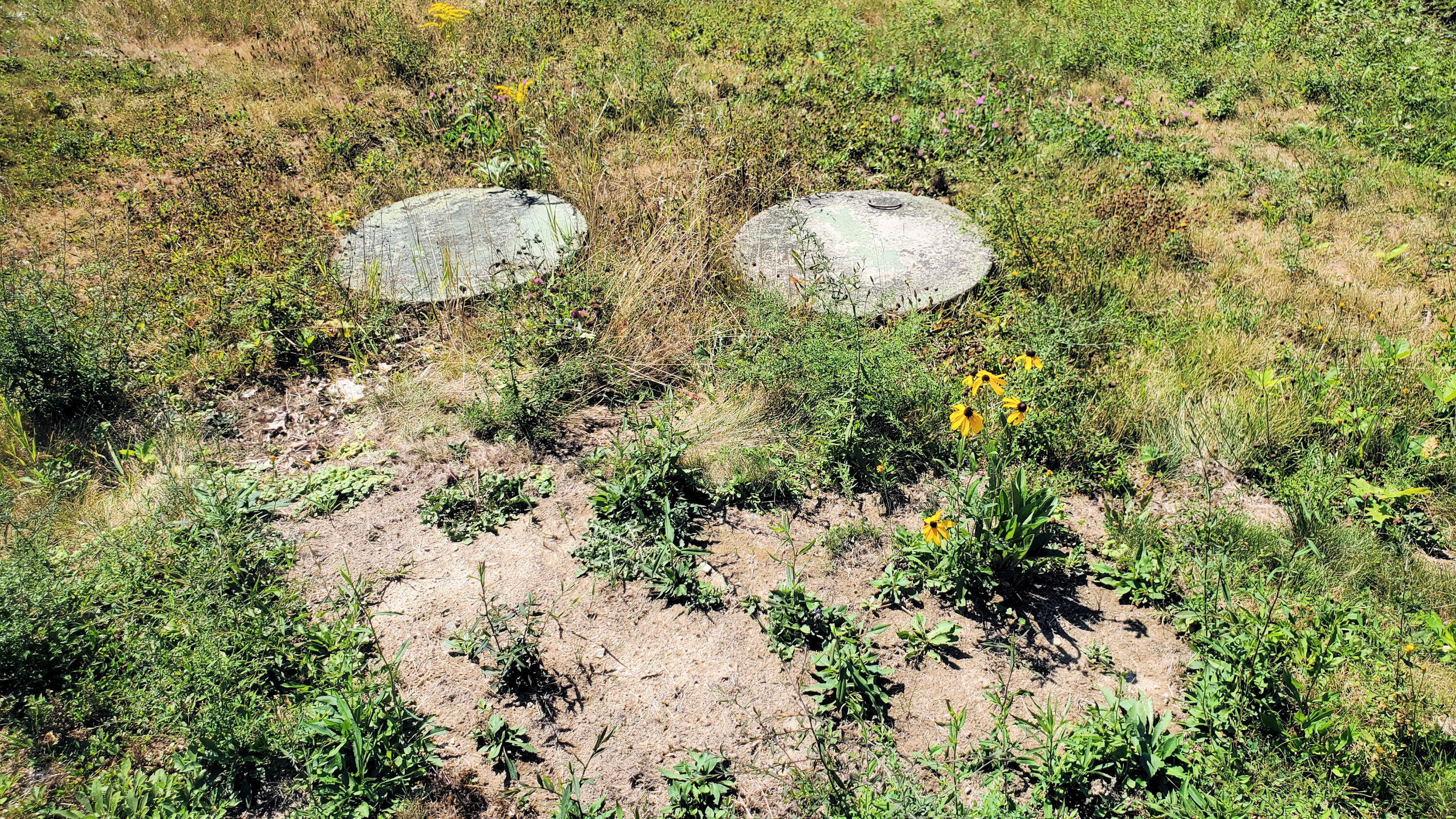 884 Surry Road Surry, ME 04684 - Photo 44 of 64 01_septic