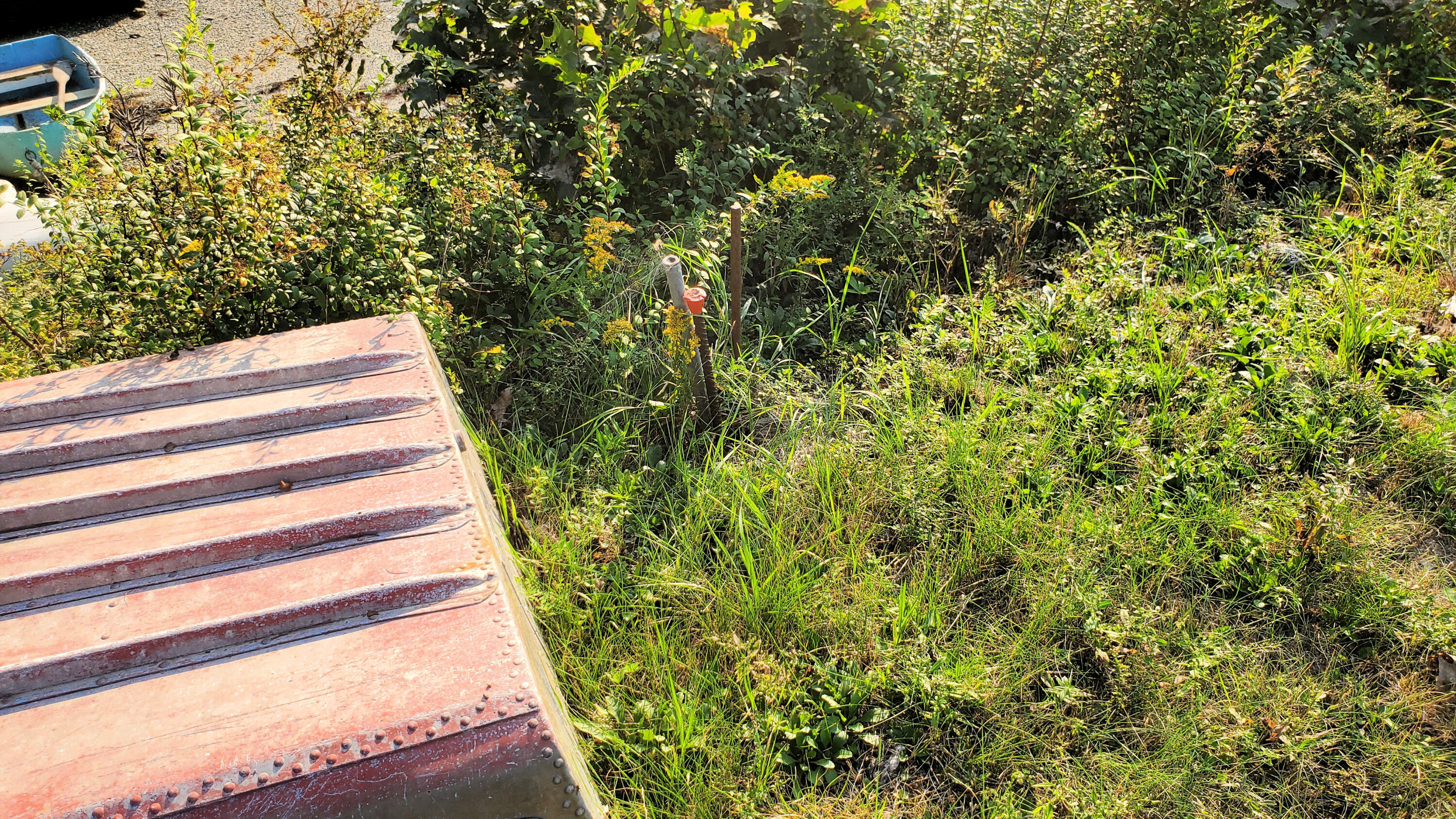 884 Surry Road Surry, ME 04684 - Photo 60 of 64 20220909_172635