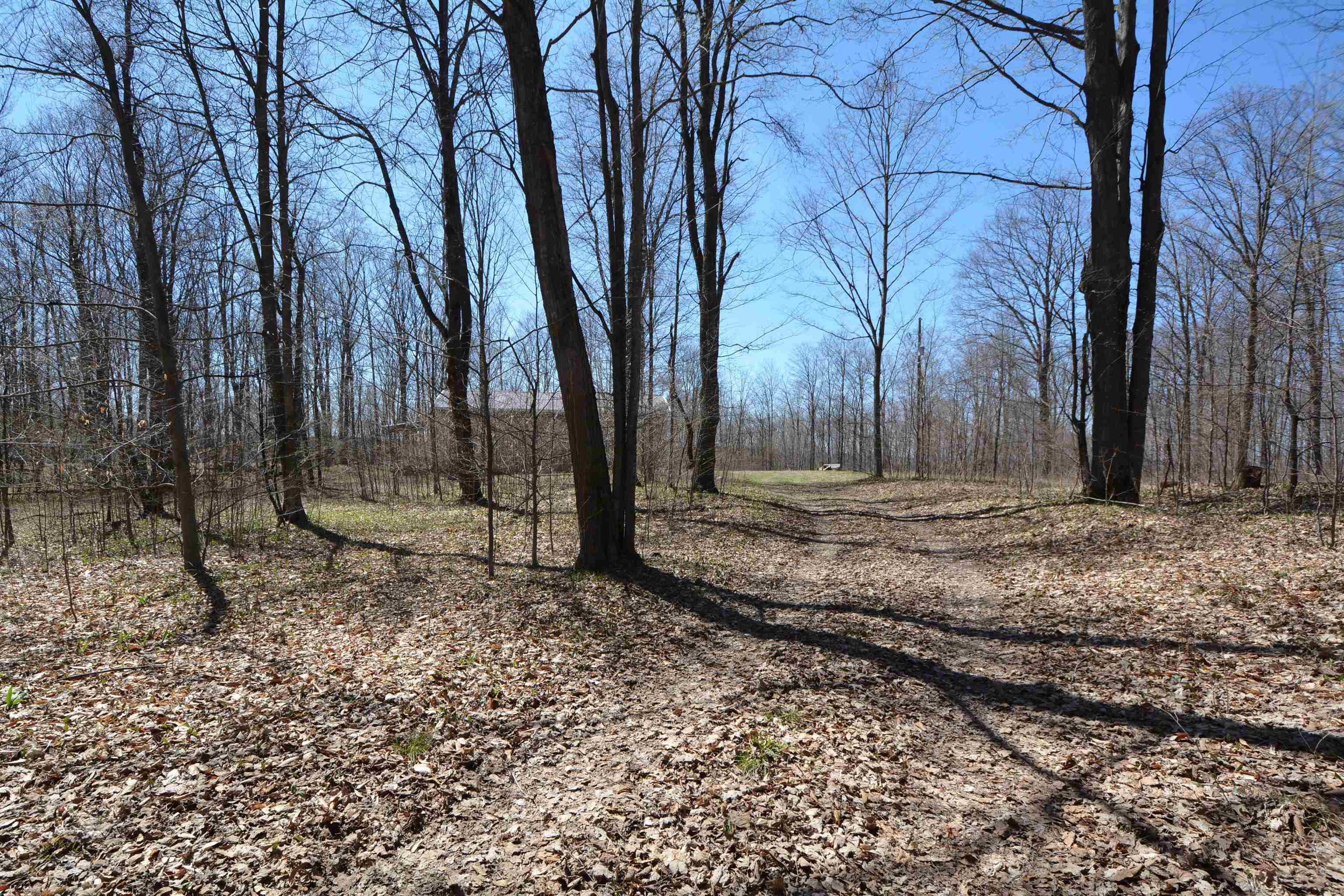 11100 Fewins Road Honor, MI 49640 - Photo 33 of 34