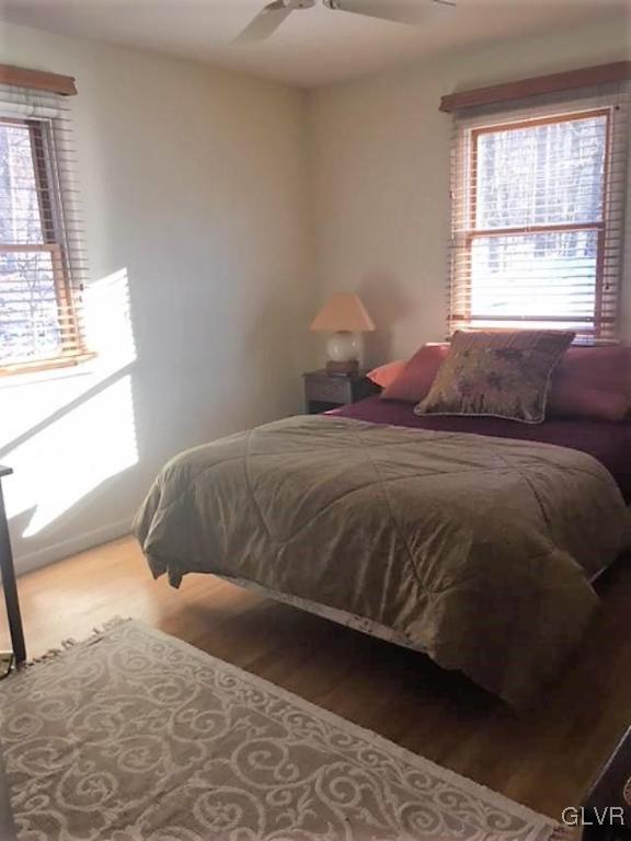 6901 Sell Road Zionsville, PA 18092 - Photo 29 of 33 Bedroom- lights of light