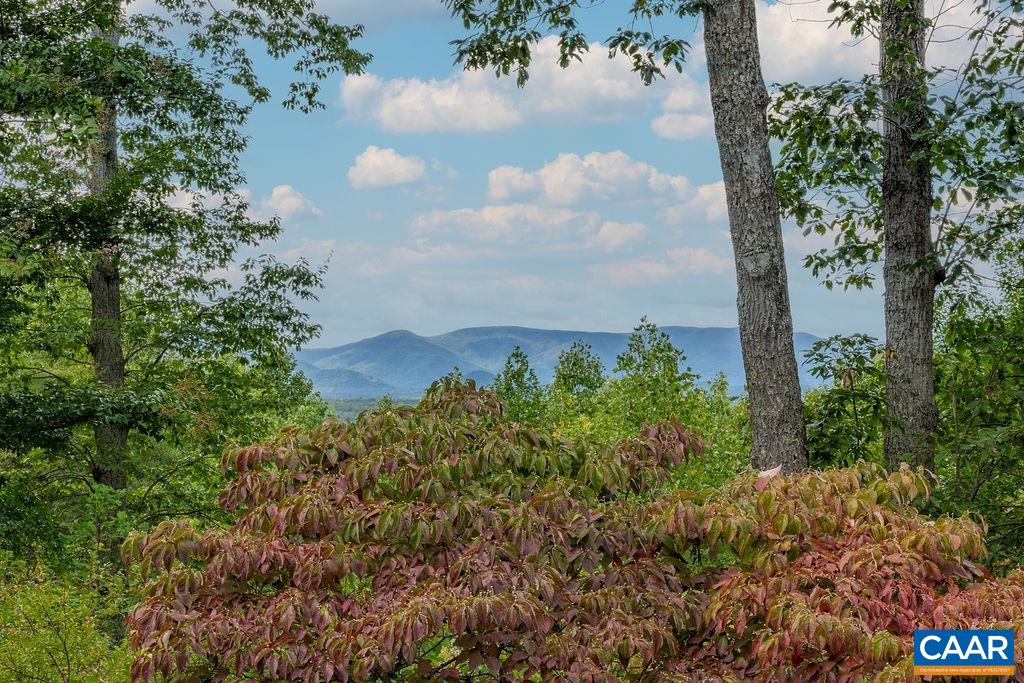 5540 Laurel Ridge Road Charlottesville, VA 22911 - Photo 43 of 68