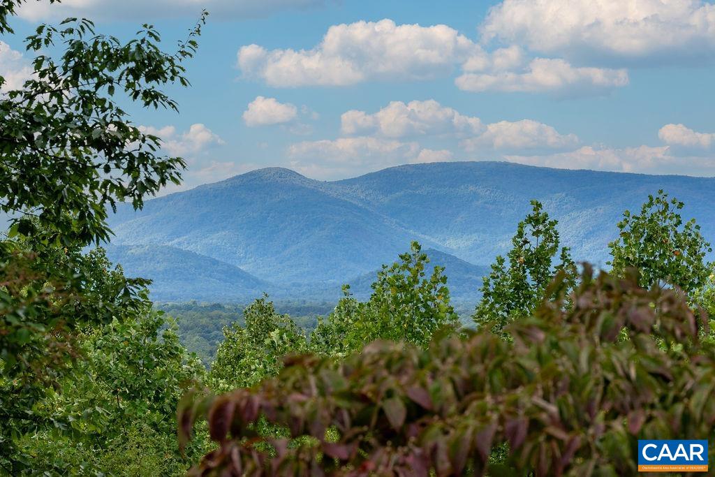 5540 Laurel Ridge Road Charlottesville, VA 22911 - Photo 44 of 68