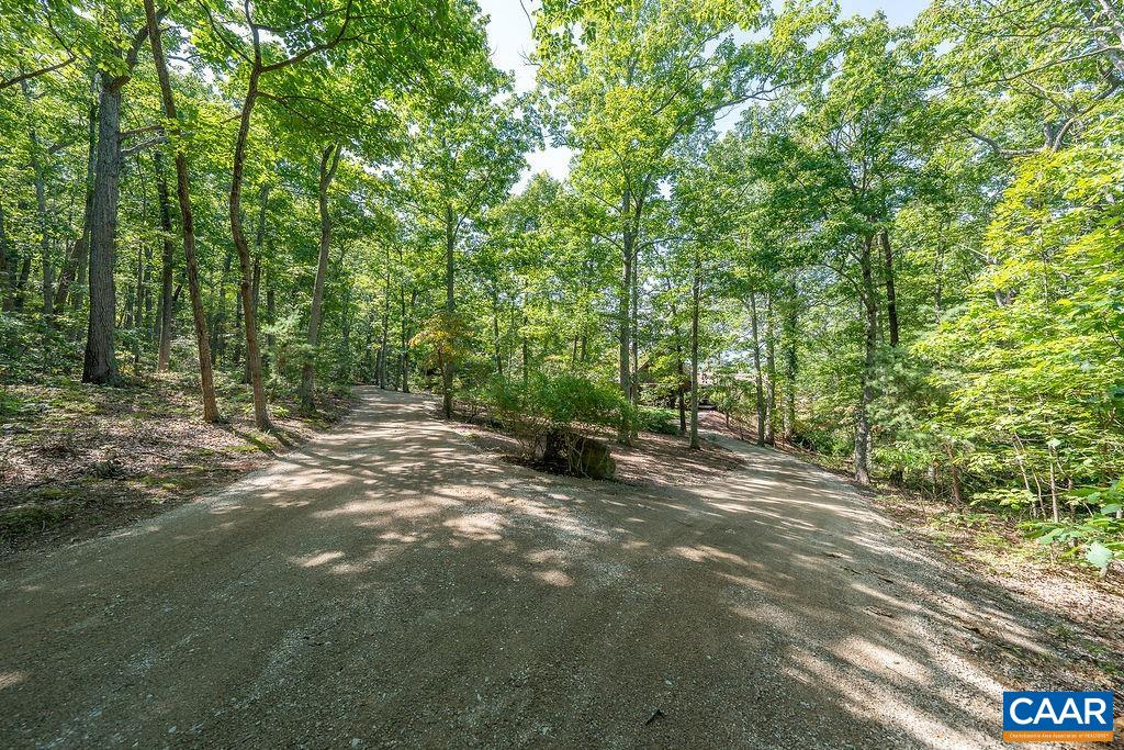 5540 Laurel Ridge Road Charlottesville, VA 22911 - Photo 45 of 68 a view of a forest with trees in the background