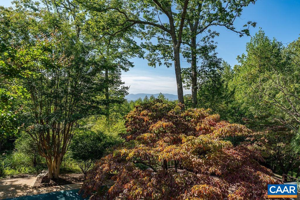 5540 Laurel Ridge Road Charlottesville, VA 22911 - Photo 63 of 68 a view of a garden with plants and large trees