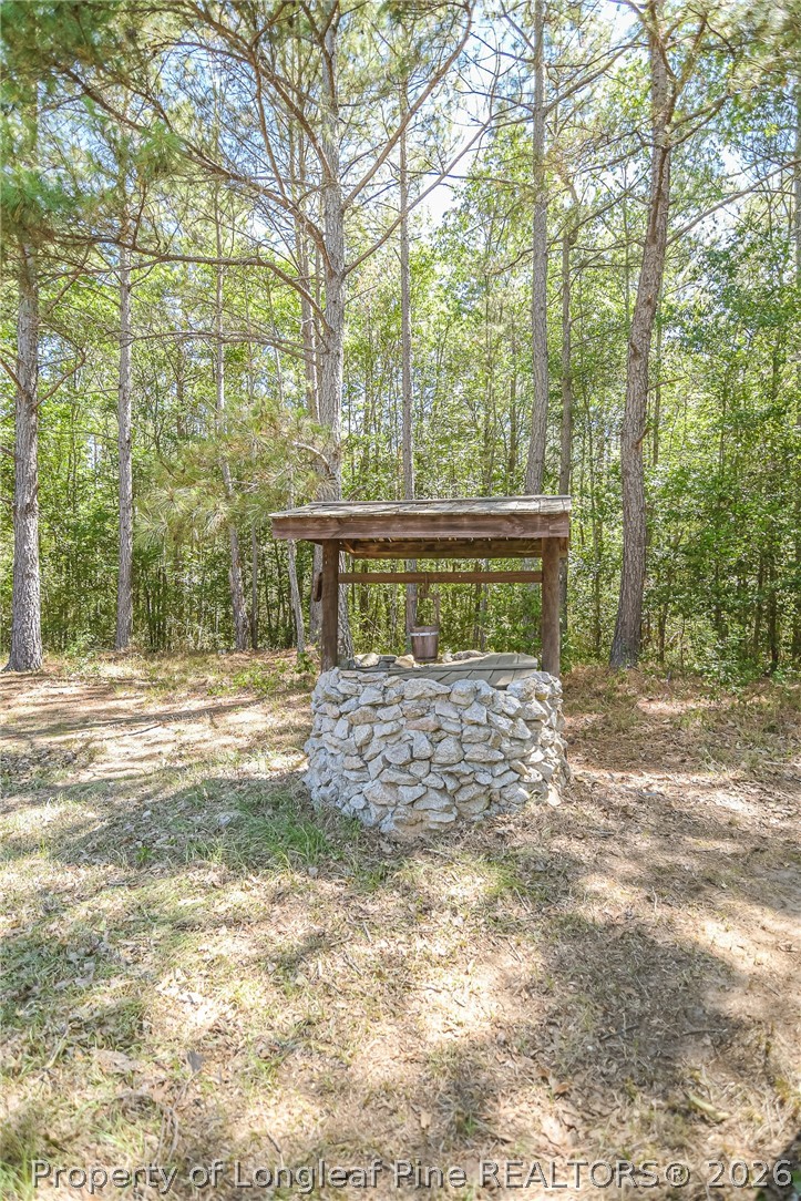 21181 Traders Road Laurel Hill, NC 28351 - Photo 12 of 49