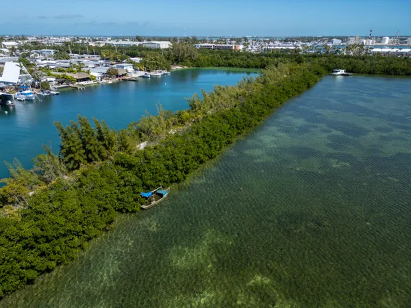 an aerial view of residential houses with outdoor space and lake view