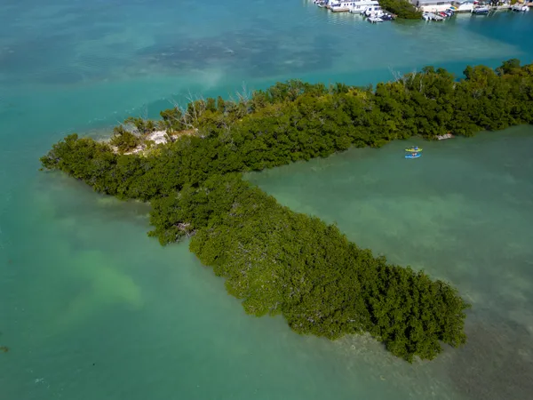 a view of a lake with a yard