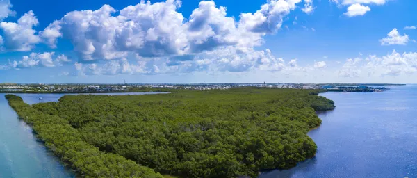 a view of a lake with a big yard