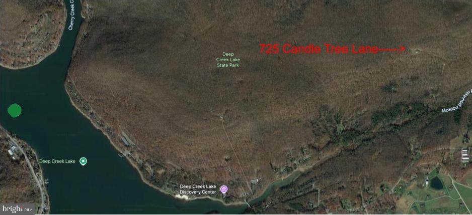 725 Candle Tree Lane Swanton, MD 21561 - Photo 2 of 30