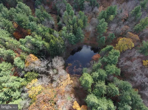 $1,200,000 | 725 Candle Tree Lane, Swanton, MD 21561