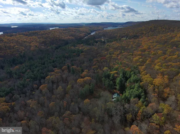 $1,200,000 | 725 Candle Tree Lane, Swanton, MD 21561