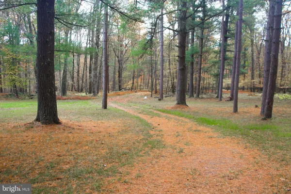 $1,200,000 | 725 Candle Tree Lane, Swanton, MD 21561