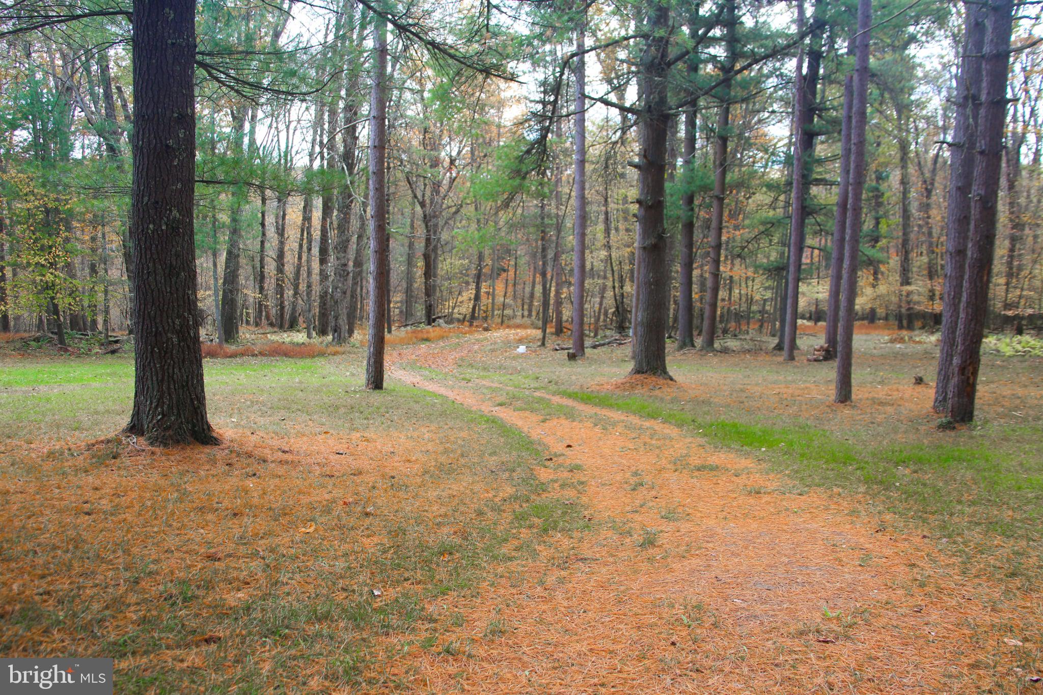 725 Candle Tree Lane Swanton, MD 21561 - Photo 8 of 30