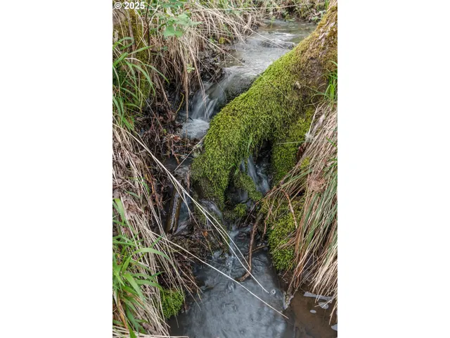 a view of outdoor space and city view