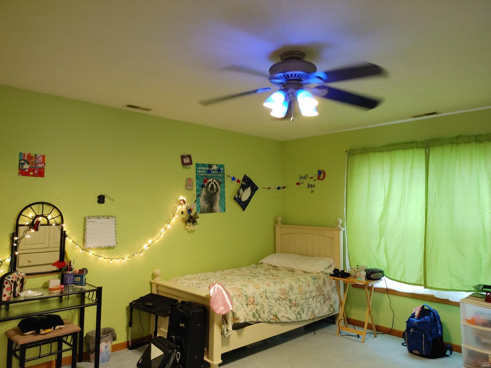 927 Long Branch Road Troy, IL 62294 - Photo 30 of 46 Gallery Image 30