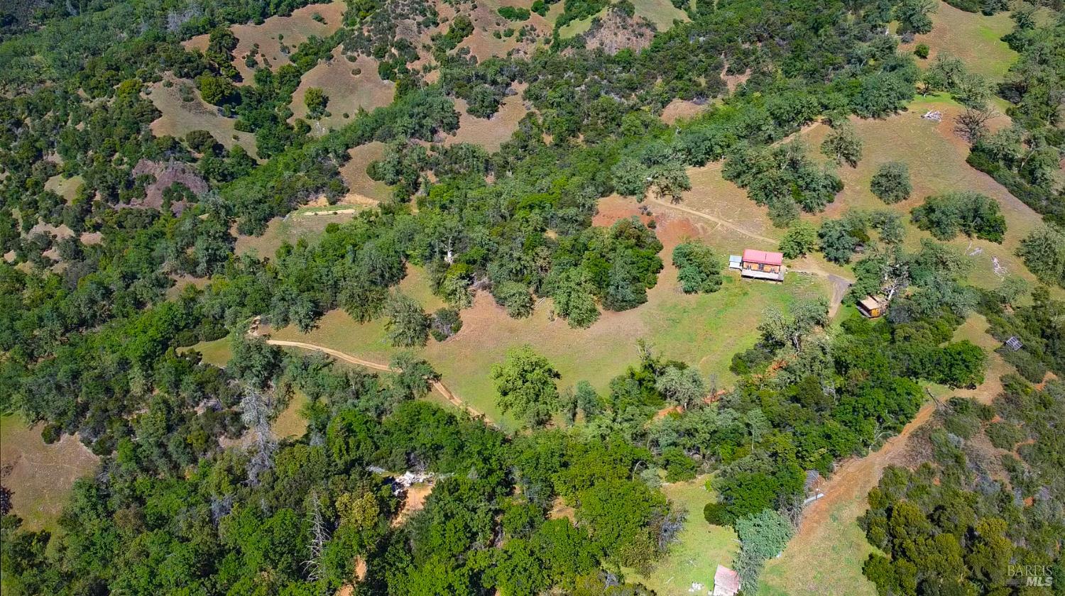 1510 Boonville Road Ukiah, CA 95482 - Photo 3 of 26 a view of a forest with a tree