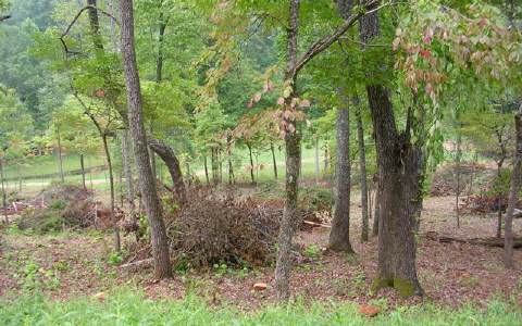 5 Hood Acres Road Young Harris, GA 30582 - Photo 1 of 1 Main View