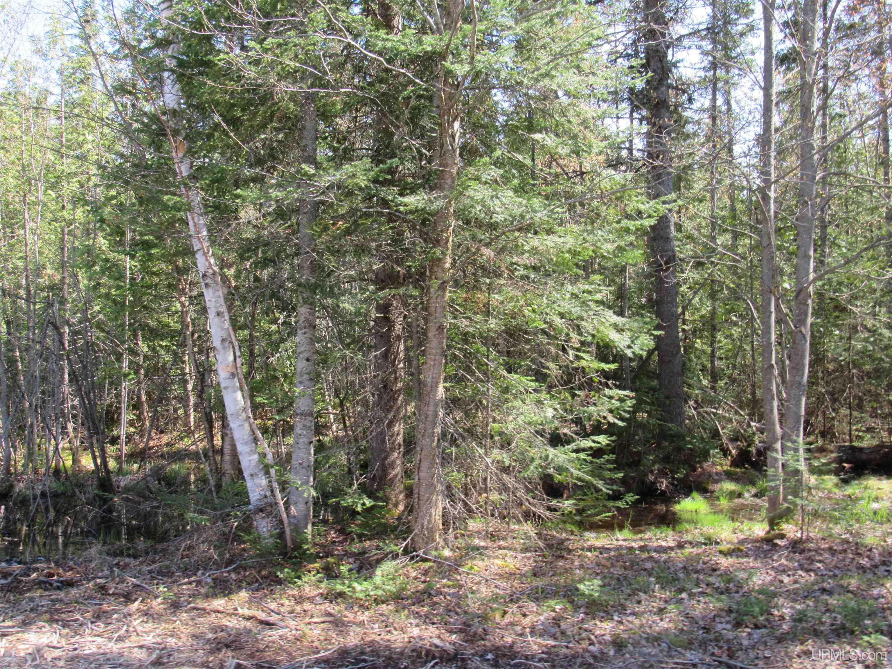 Tbd Rice Lake Road, Unit JUST WEST OF 31959 RICE L Lake Linden, MI 49945 - Photo 3 of 4