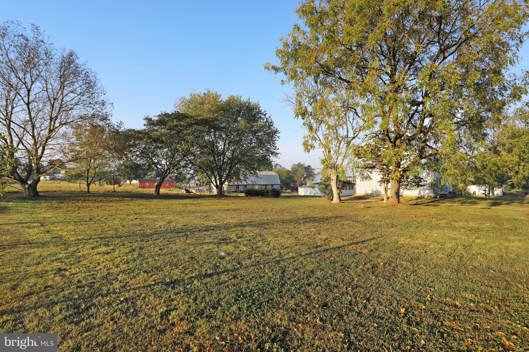 17223 Reiff Church Road Hagerstown, MD 21740 - Photo 48 of 58 Side Yard