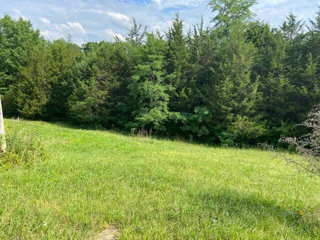 1383 Union Chapel Road Foster, KY 41043 - Photo 5 of 16 Gallery Image 5