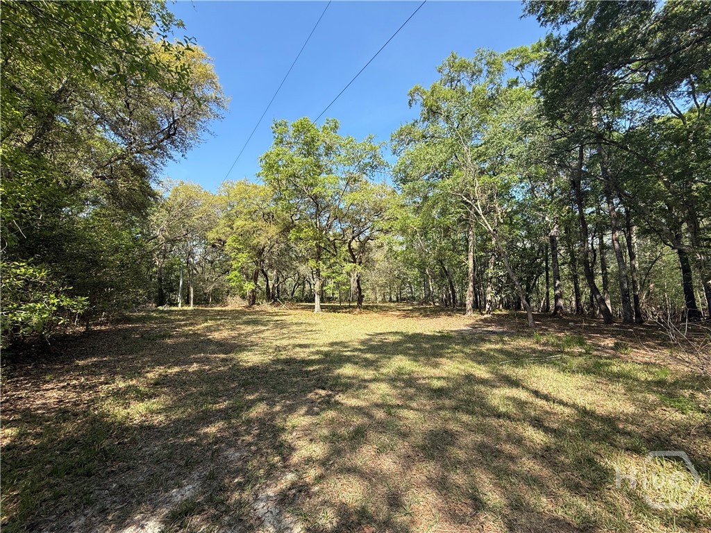 315 High Bluff Road Rincon, GA 31326 - Photo 12 of 13 Gallery Image 12