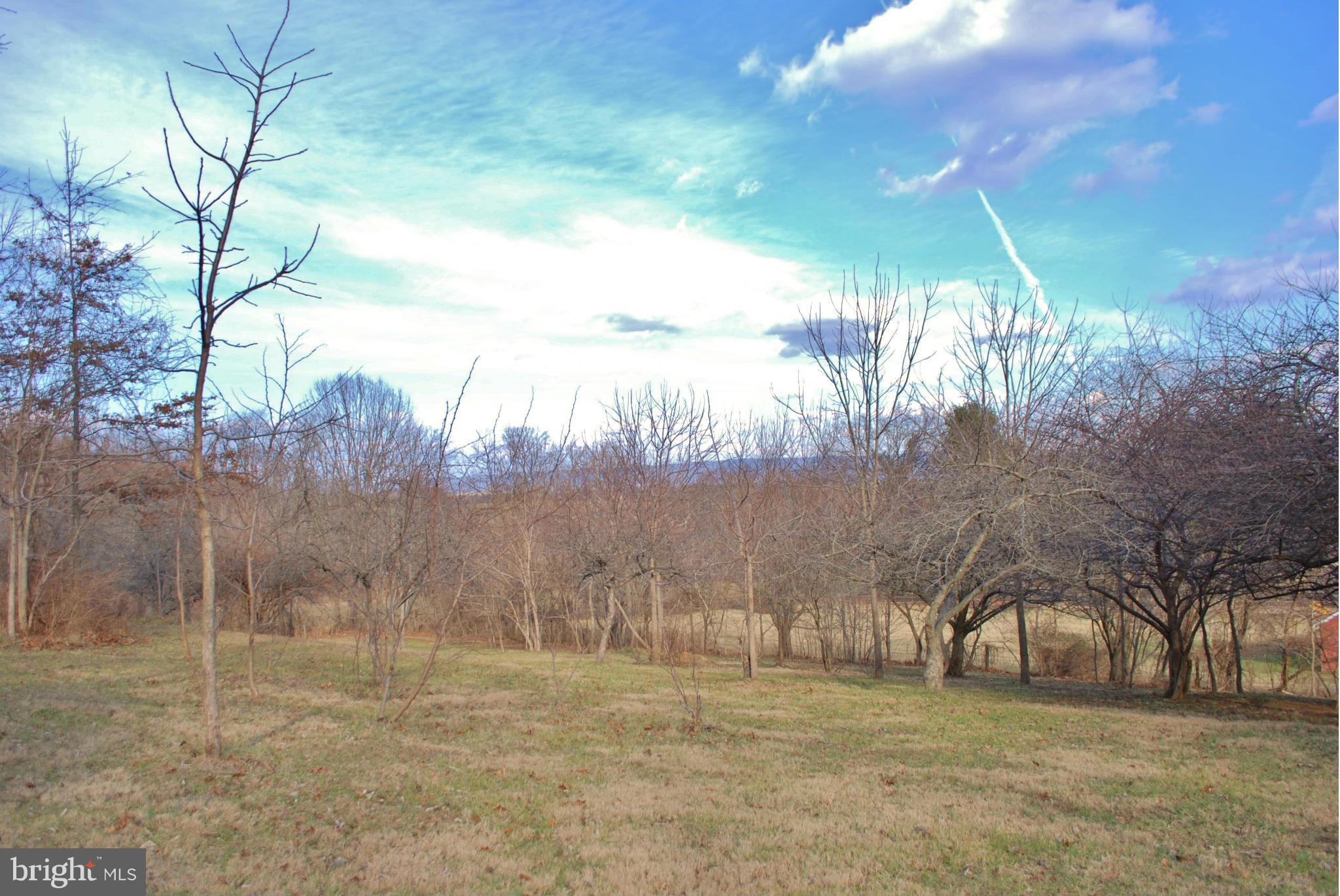1124 Arnoldtown Road Jefferson, MD 21755 - Photo 4 of 30 View