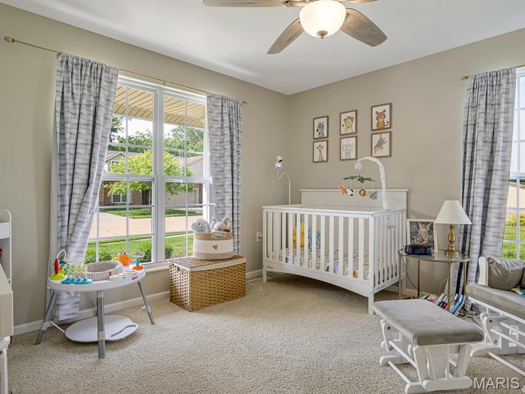 508 Southview Drive Waterloo, IL 62298 - Photo 7 of 31