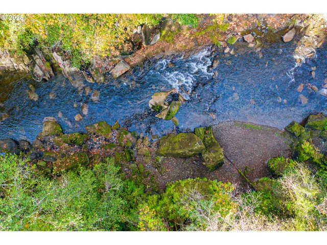 a view of a yard in front of a house with large trees