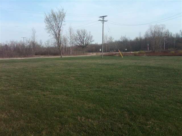 3555 Connors Road Emmett, MI 48022 - Photo 27 of 30 This is a view of yard.