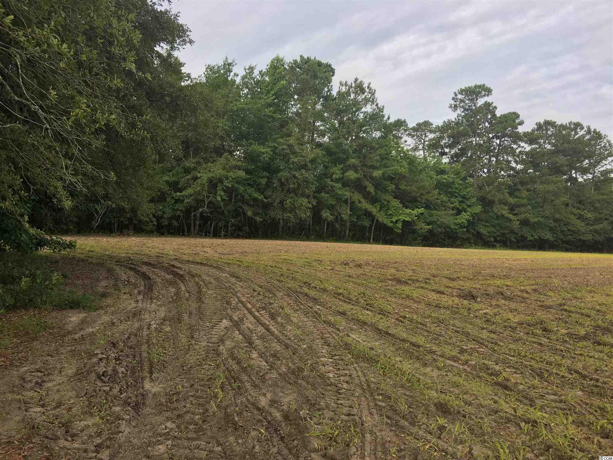 900 West Dogwood Road Loris, SC 29569 - Photo 5 of 8 Gallery Image 5