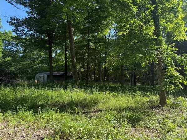 $99,000 | 0 Rustic Acres Drive, Bonne Terre, MO 63628