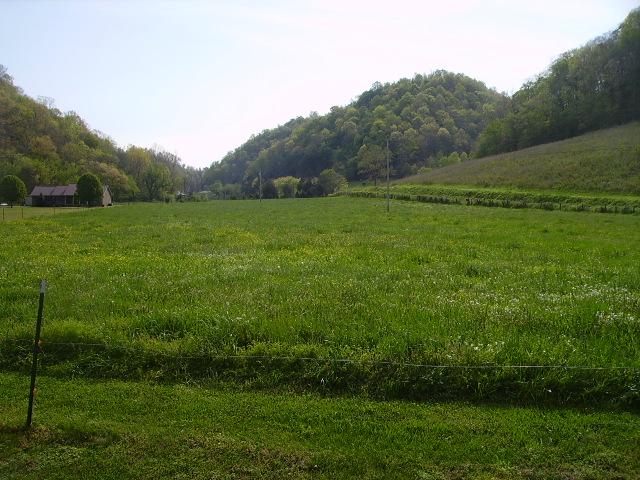 3391 Sycamore Valley Road Pleasant Shade, TN 37145 - Photo 4 of 10