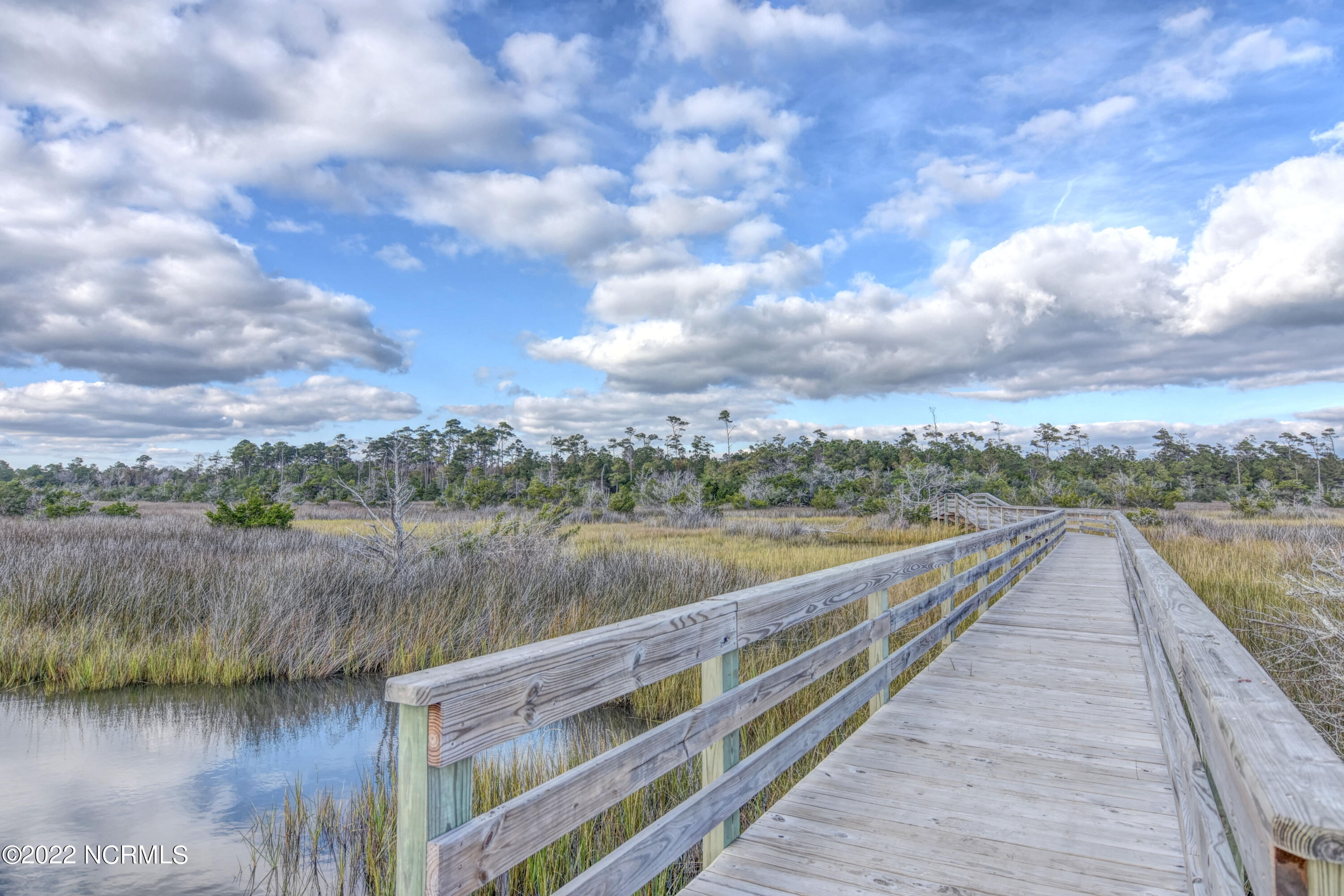 335 Landon Lane Sneads Ferry, NC 28460 - Photo 22 of 27 DSC_9734_5_6