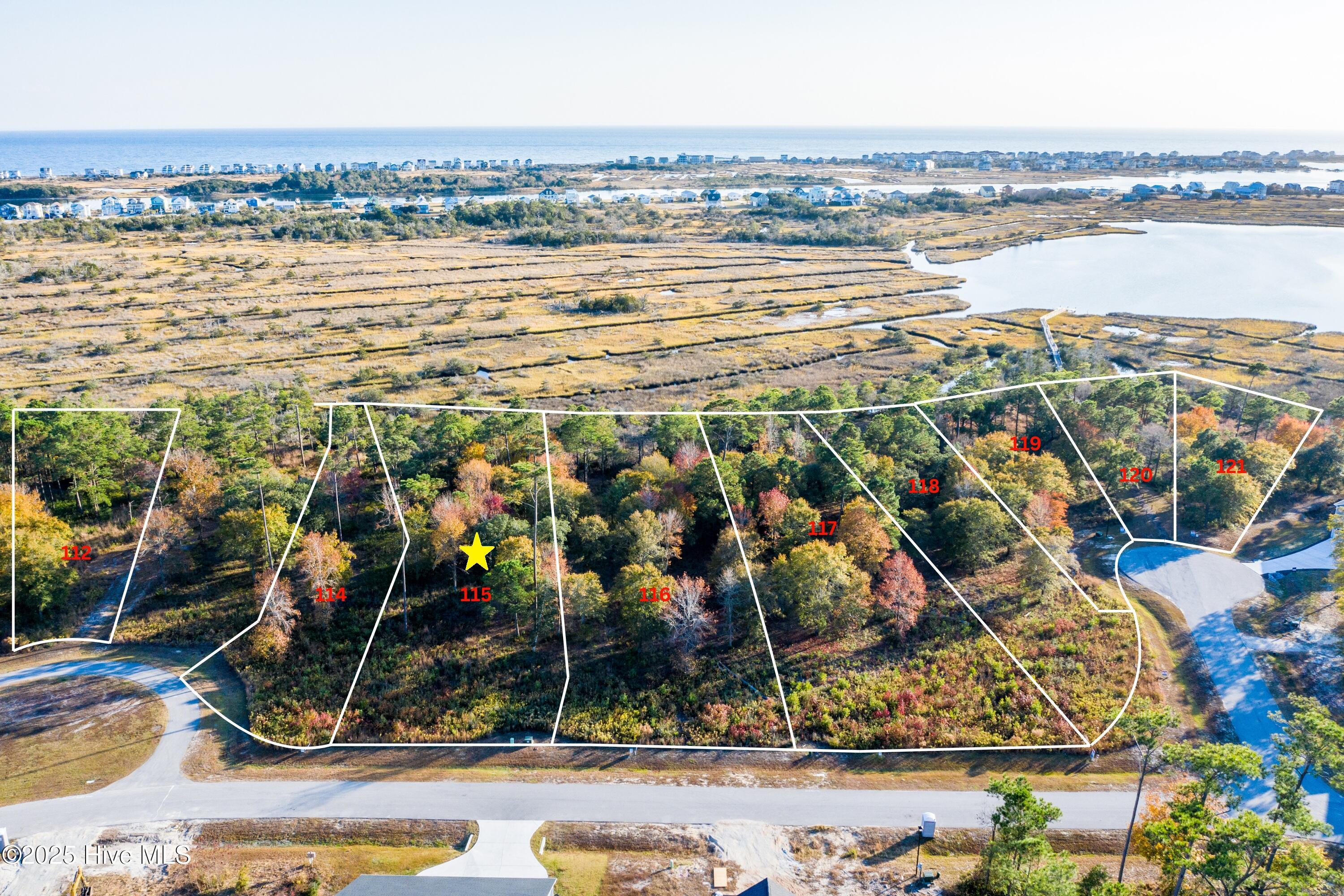 335 Landon Lane Sneads Ferry, NC 28460 - Photo 4 of 27 lot 115 2