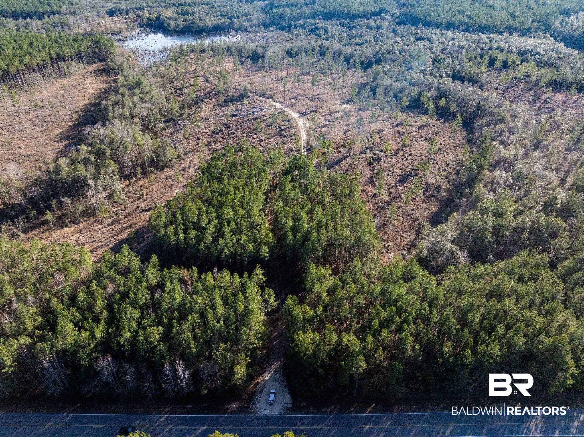 1 Beverly Jeffries Highway Citronelle, AL 36522 - Photo 3 of 12