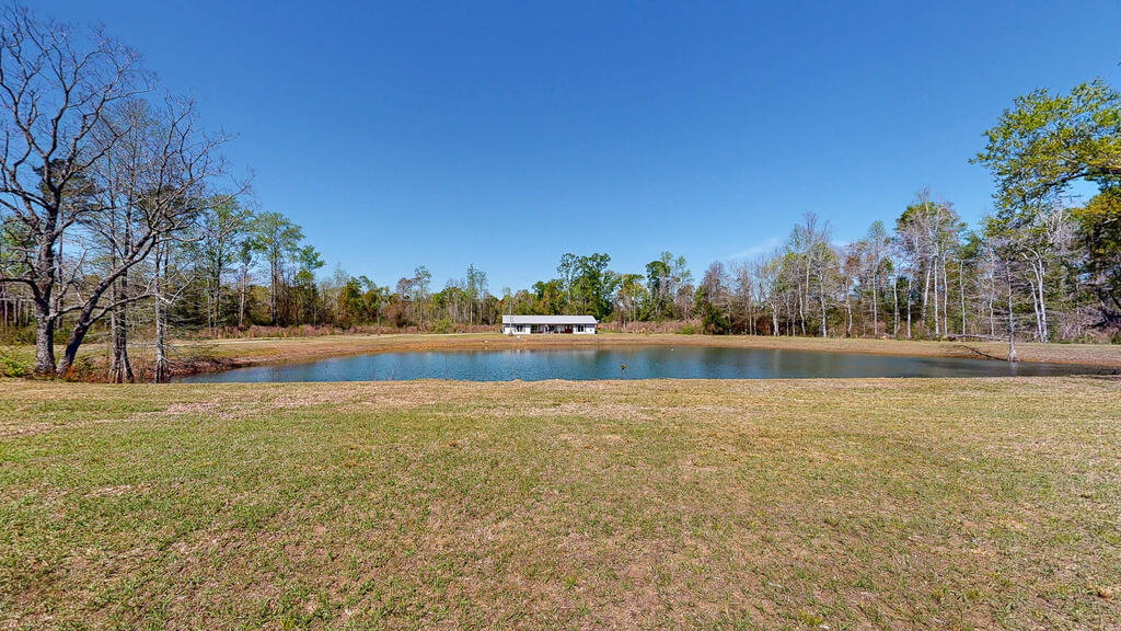 6615 State Line Road Cottonwood, AL 36320 - Photo 9 of 54 Gallery Image 9
