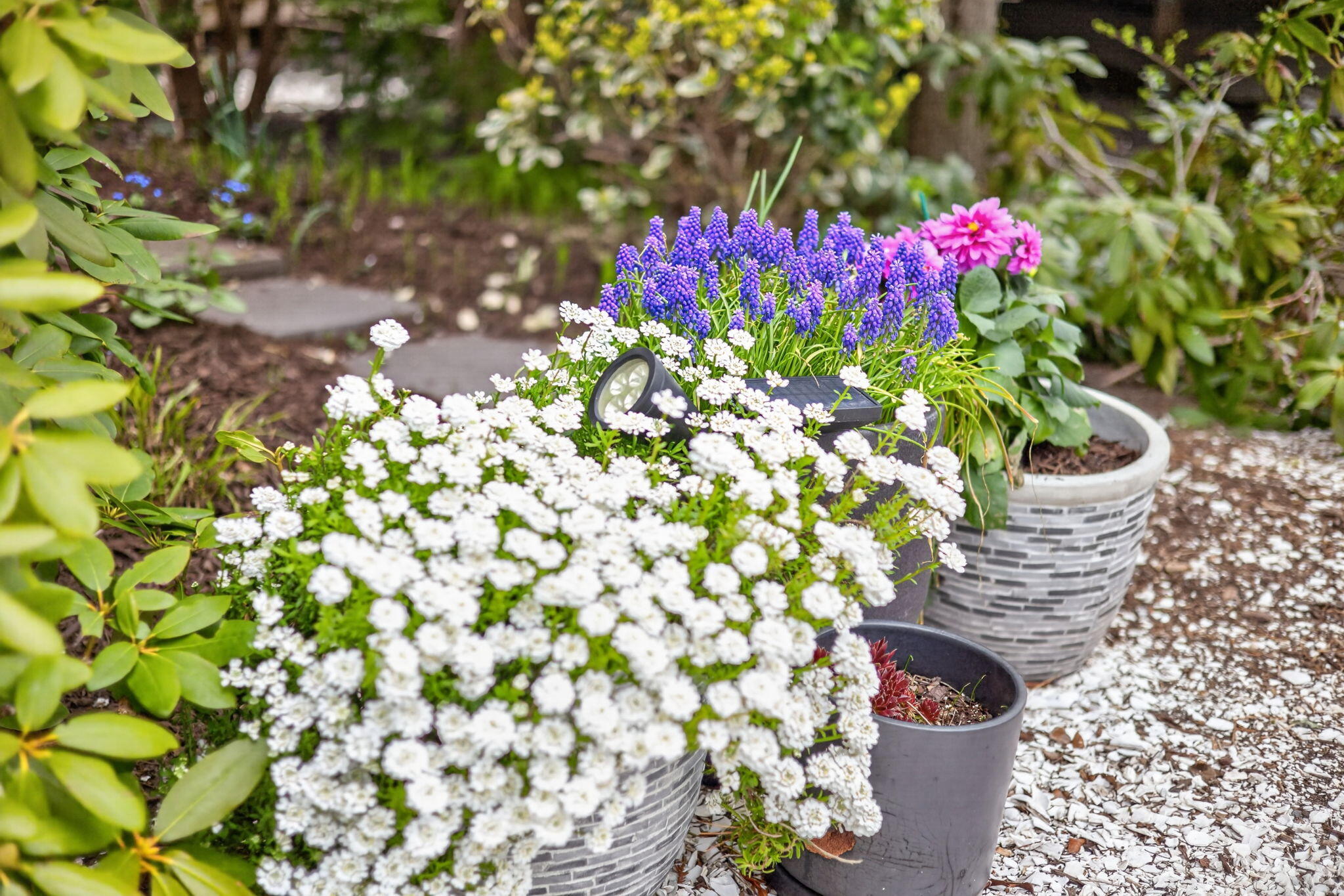 73 Pimlico Pond Road Mashpee, MA 02649 - Photo 26 of 29 a flower view