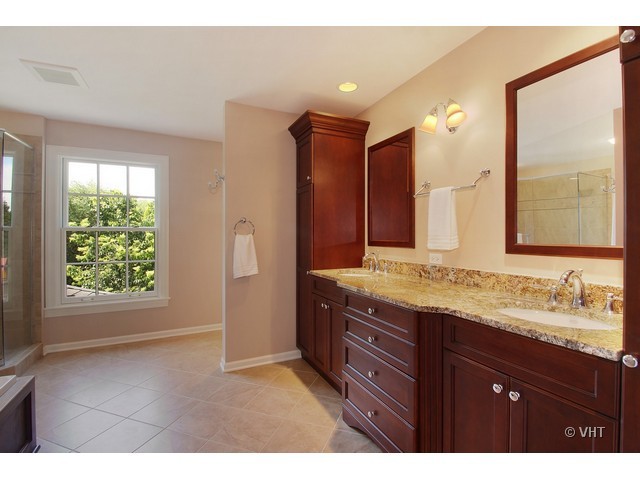 1742 Appleby Road Inverness, IL 60067 - Photo 12 of 25 a bathroom with a granite countertop sink mirror and double